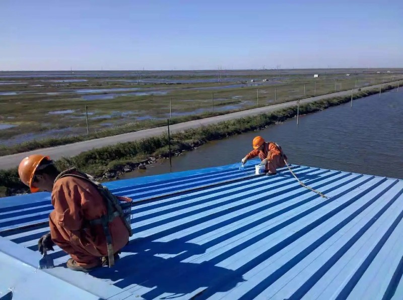 坡头镇钢结构屋面漏水原因